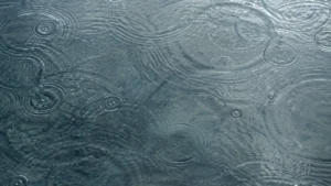 水面に広がる波紋