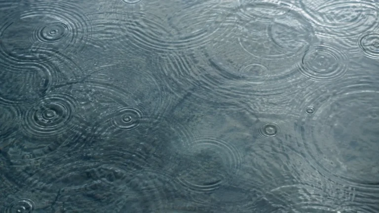 水面に広がる波紋