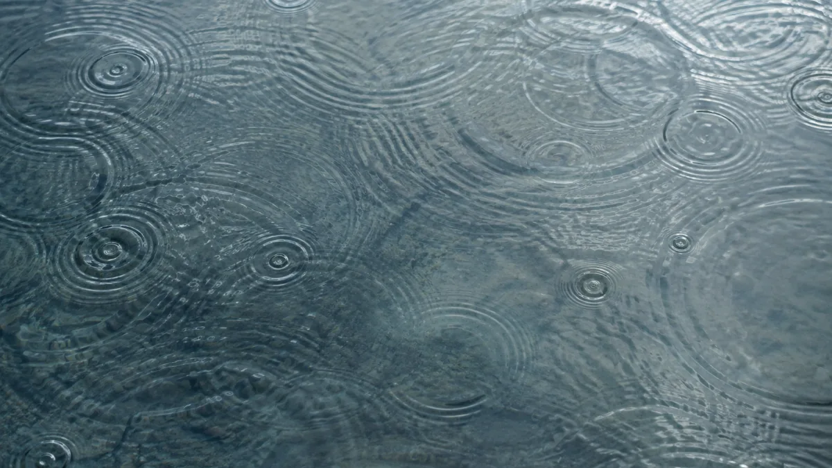 水面に広がる波紋